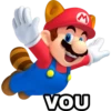 Mario Bros 13