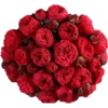 Flowers 2 19