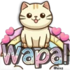 🩷🤎Cute Animals🤎🩷 16