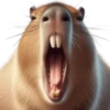 🤎Humanic Capibara.🤎 21