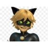 miraculous 19