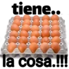 AFIRMACION 19