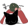 The Lucky Black Cat 23