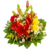 Flowers 2 20
