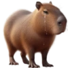🤎Humanic Capibara.🤎 24