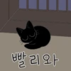 The Lucky Black Cat 24