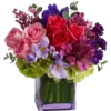 Flowers 2 23