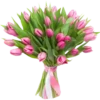 Flowers 2 24