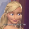 Barbie Nrs 22