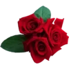 Flowers 2 26