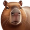 🤎Humanic Capibara.🤎 26