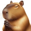 🤎Humanic Capibara.🤎 27