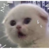 Meme Lucu Gemoy 2 27