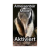 Ameisenbär 6