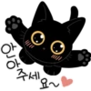 The Lucky Black Cat 27
