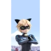 miraculous 29