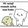 Chicky 19