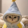 Cats 28
