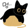 The Lucky Black Cat 30