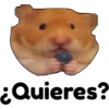 hámster 🐹 2 aish💕 7