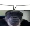 hay que estudiar mysql | markusennn 9