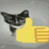 silly cats 7