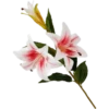 Flowers 9 8
