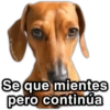 MEMES para ti 7 (sticker.fan) 5