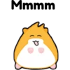 hámster 🐹 2 aish💕 8