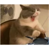 Memes1209 11