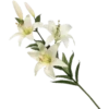 Flowers 9 16