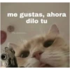 Memes1209 12