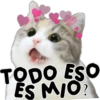 Michis.com 22