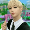 Stray Kids №29 22