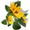 Flowers 9 22
