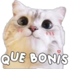 Michis.com 23