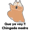 hámster 🐹 2 aish💕 18