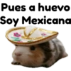 hámster 🐹 2 aish💕 19