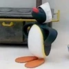 PINGU 7
