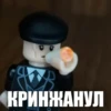 LEGO Shelby 18