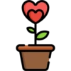 San Valentin 21