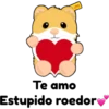 hámster 🐹 2 aish💕 21