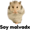 hámster 🐹 2 aish💕 22