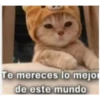 Memes1209 21