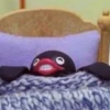 PINGU 8