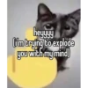 silly cats 28