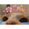 Memes1209 24