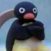 PINGU 10