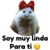 hámster 🐹 2 aish💕 25