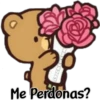 Ositos Enamorados 💗 27